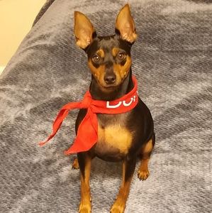 Meet your Posher, Robin